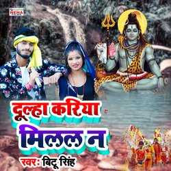 Dulha Kariya Milal N (BolBam Song)