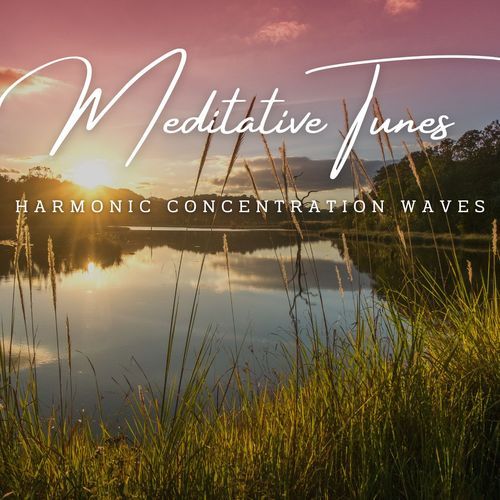 FlowState Harmony: Meditative Tunes for Productive Work_poster_image