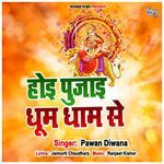 Hoi Pujaai Dhum Dham Se