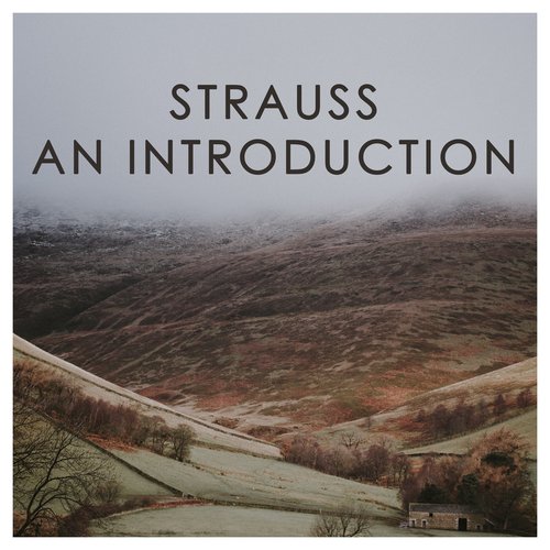 J. Strauss II: An Introduction