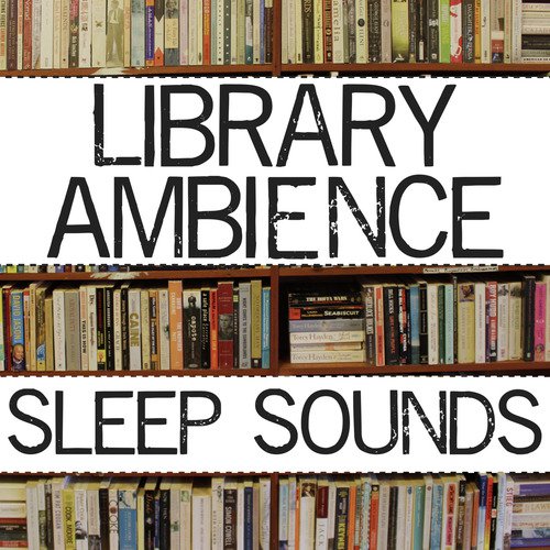 Library Ambience_poster_image