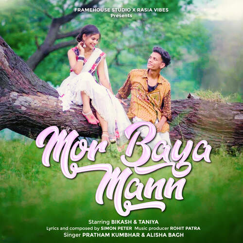 Mor Baya Mann_poster_image