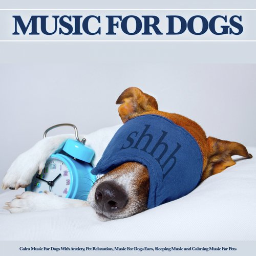 Music For Dogs: Calm Music For Dogs With Anxiety, Pet Relaxation, Music For Dogs Ears, Sleeping Music and Calming Music For Pets_poster_image