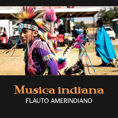 Musica indiana cover art