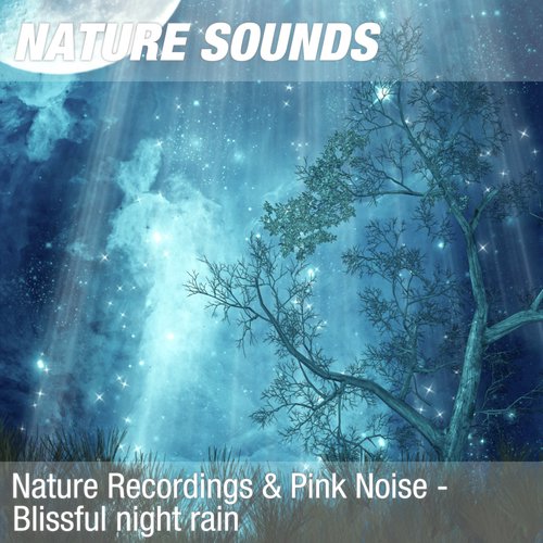 Nature Recordings Pink Noise Blissful Night Rain Songs Download Free Online Songs Jiosaavn