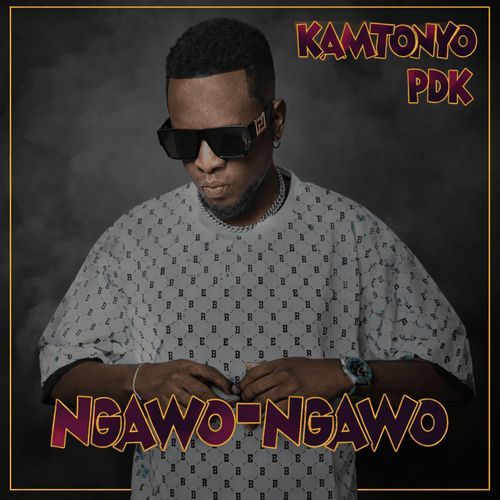 B U C K E T cover art