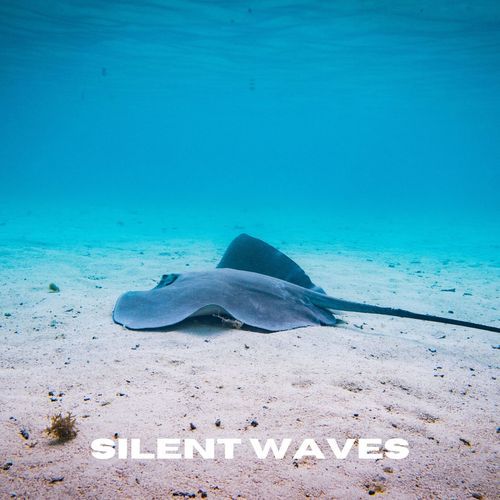 Silent Waves