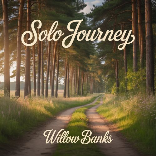 Solo Journey