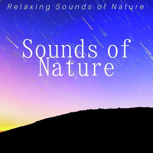 Yoga Nidra cover art