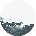 Starting Over