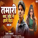 Tamari Vat Joi Ame Betha