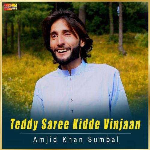 Teddy Saree Kidde Vinjaan