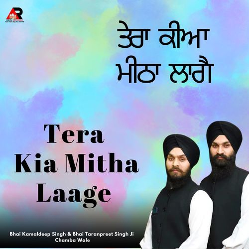 Tera Kia Mitha Laage