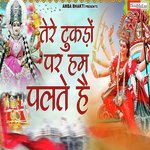 Tere tukdo Par hum Palte Hai (Hindi)