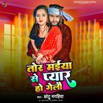 Tor Maiya Se Pyar Ho Gelau