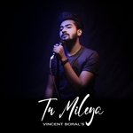 Tu Mileya(Lofi Mix) (Lofi)