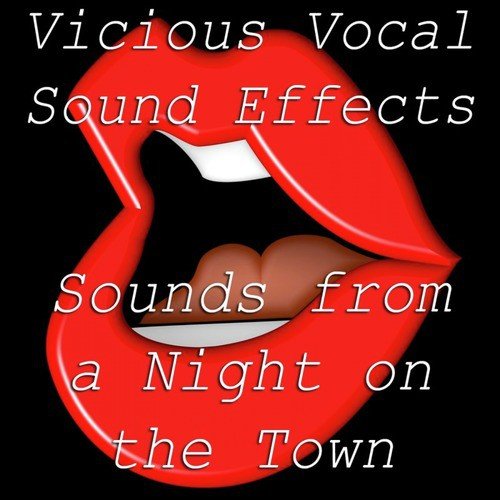 Vicious Vocal Sound Effects 5 - A Night On the Town
