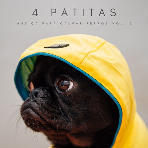 Música Relajante Para Perros cover art
