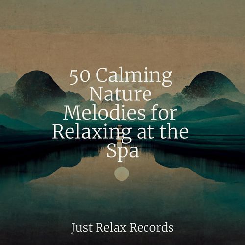 50 Calming Nature Melodies for Relaxing at the Spa