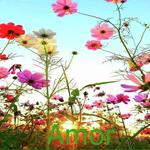Almas (Instrumental)