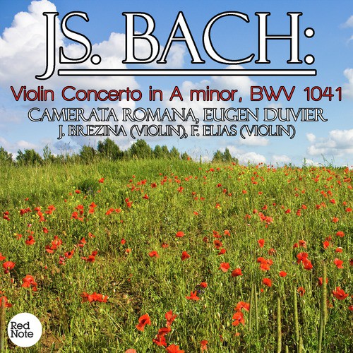 Bach: Violin Concerto in A minor, BWV 1041