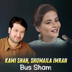 Bus Sham-NTpbchkHW10