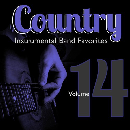 Country Instrumental Band Favorites, Vol. 14