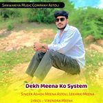 Dekh Meena Ko System