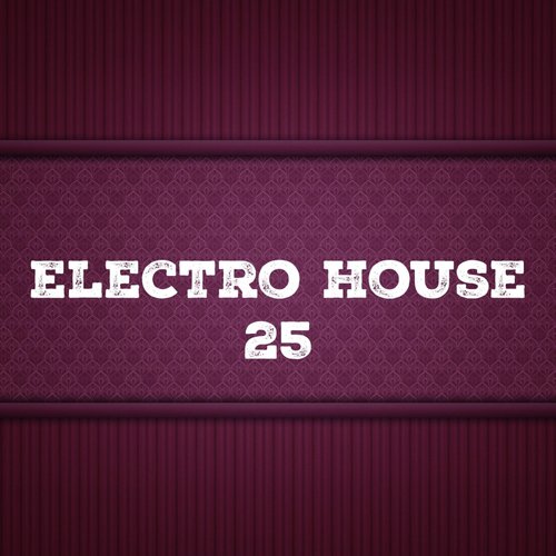 Electro House, Vol. 25