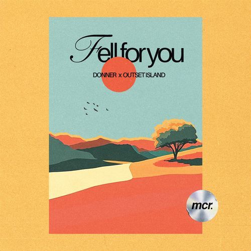 Fell For You_poster_image