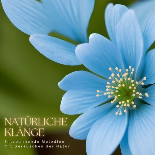 Ätherische Momente cover art