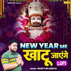 New Year Me Khatu Jayenge Lofi-MQs4SwUdUEo