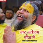 यार अकेला मौज में