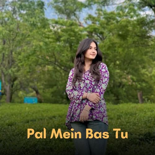 Pal Mein Bas Tu