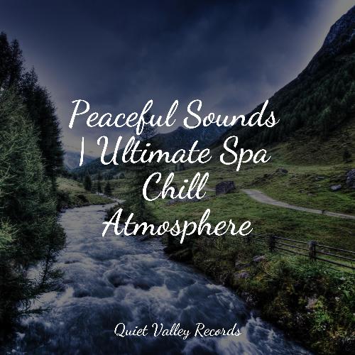 Calming New Age cover art