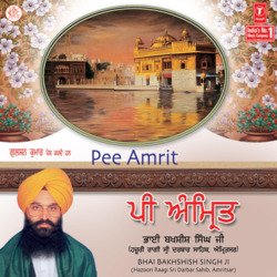 Amrit Naam Sunijei Tera-PVEGBRNRf2M