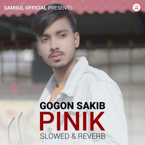 Pinik (Slowed & Reverb)