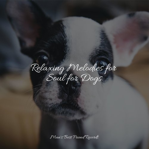 Meditating Music cover art