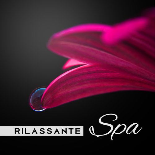 Benessere interiore cover art