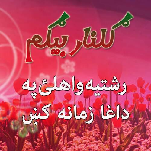 Rishteya Wayal Pa Daga