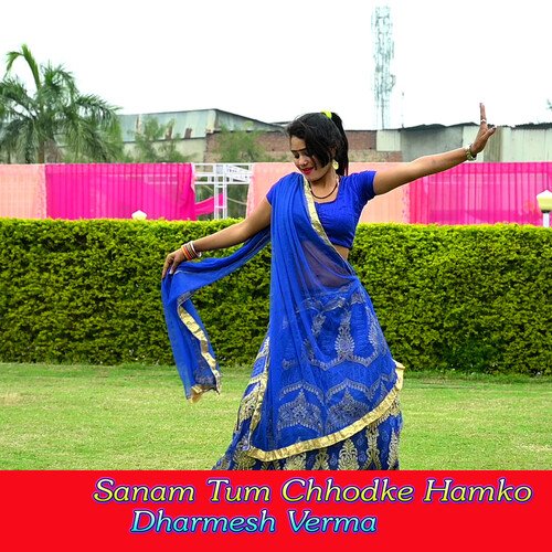 Sanam Tum Chhodke Hamko