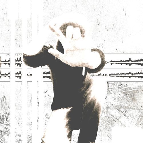 Sevverbait cover art