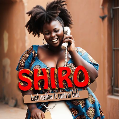 Shiro cover art