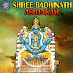 Shri Badrinath Ashtakam