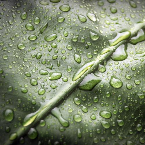 Sleep Sounds of Ambient Music