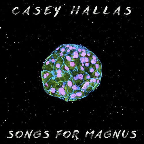 Magnus (Theory) cover art