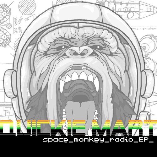 Damn (Quickie Mart Remix) - Song Download from Space Monkey Radio EP @  JioSaavn
