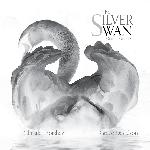 The Silver Swan