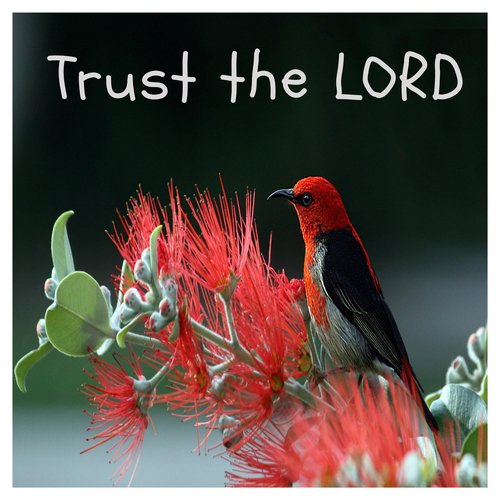 Trust the Lord