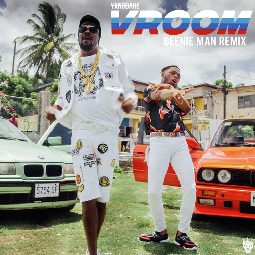 Vroom (Beenie Man Remix) cover art